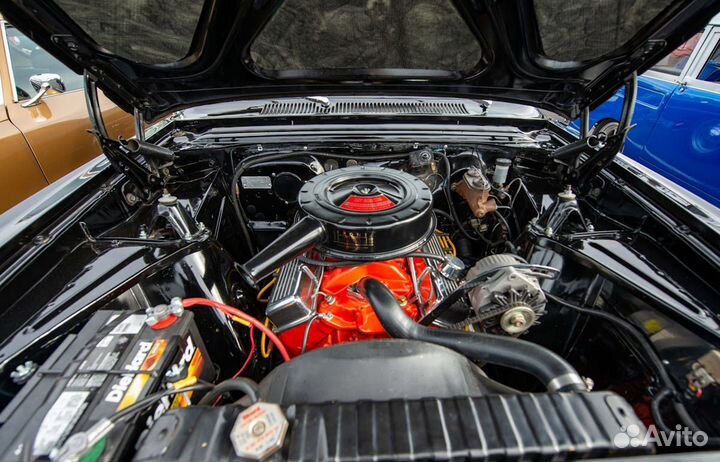 Автоэлектрик с выездом с 11 до 49975