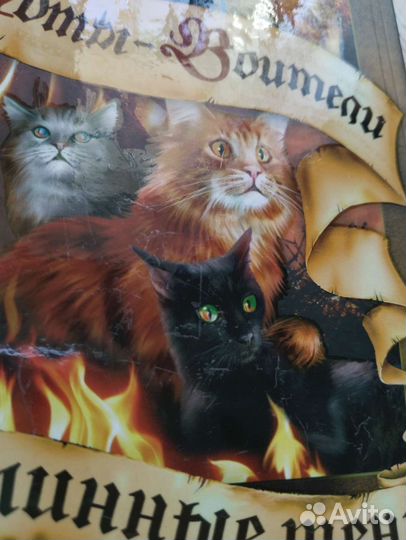 Книги коты воители: Сумерки,Послание, Длинные тени