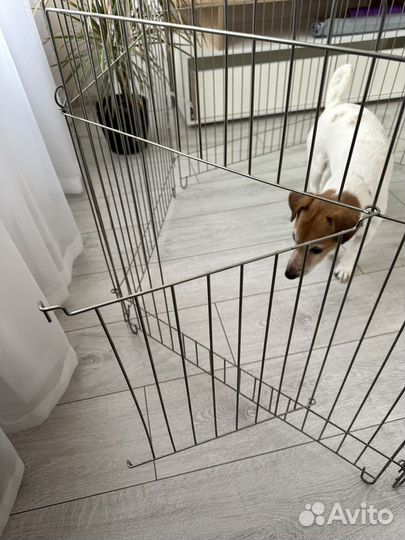Вольер для щенков и собак