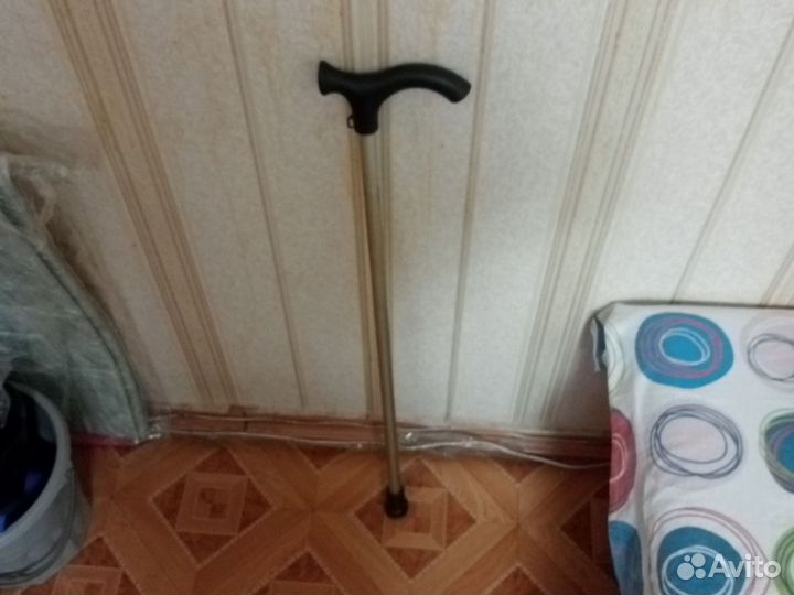 Трость зимняя