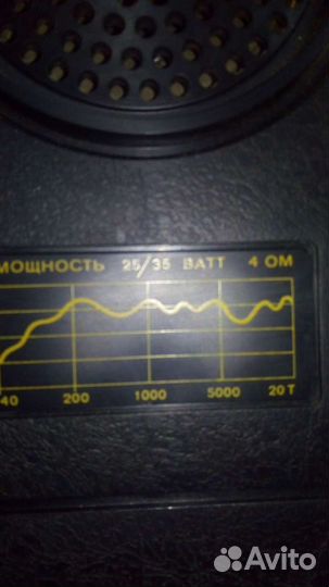 Акустика 25 ас 309