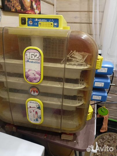 Автоматический инкубатор