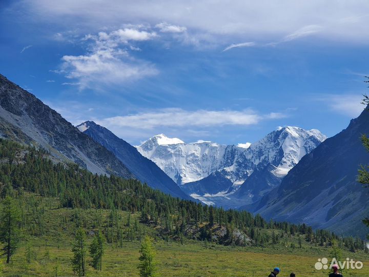 Тур авторский « Алтай. все красоты» 15-21 июля