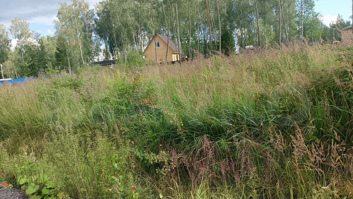 Участок 14 сот. (ИЖС)