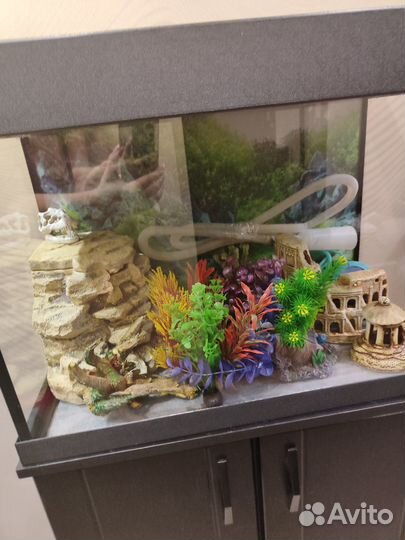 Аквариум с тумбой 70 литров