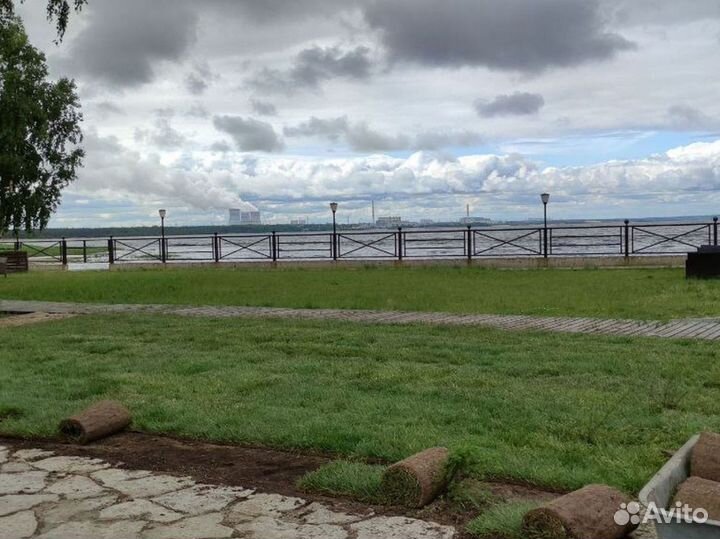 Полевой рулонный газон универсал опт