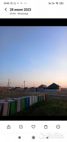 Ульи для пчел