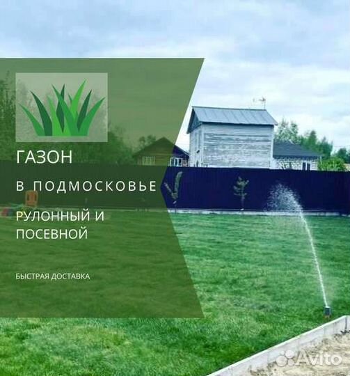 Рулонный газон, посевной газон