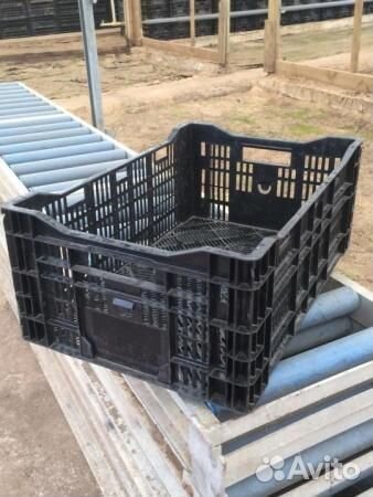 Банан коробки,Ящики деревянные, Пластиковые