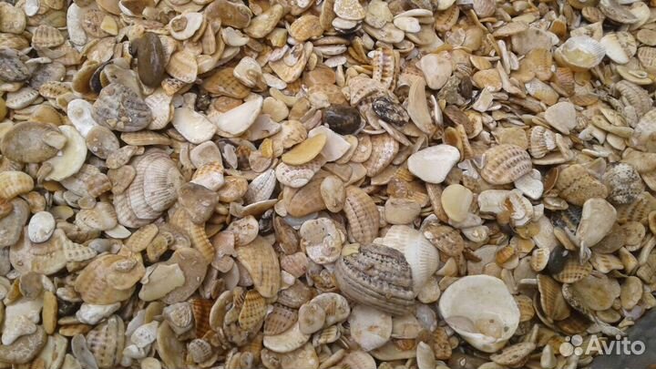 Грунт для аквариума