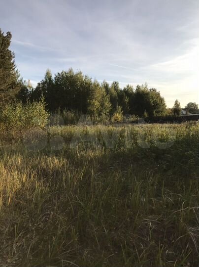 Участок 30 сот. (ИЖС)