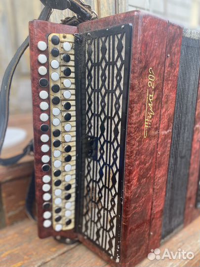 Баян Тула 202