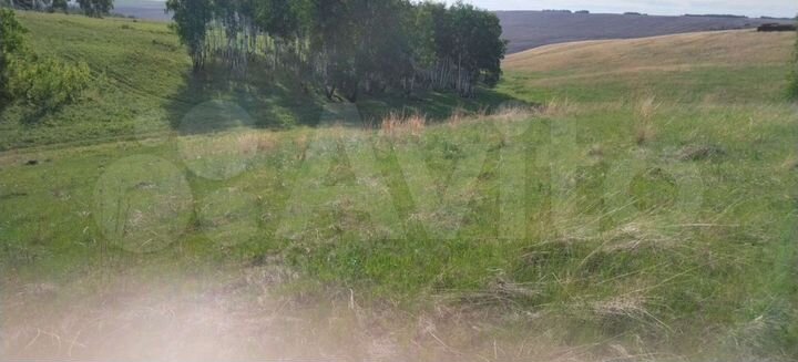 Участок 30 сот. (СНТ, ДНП)