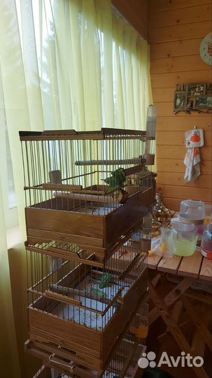 Клетки для птиц