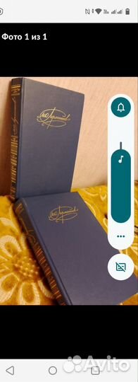 М.Ю. Лермонтов. Двухтомник