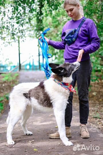 Тимон всю жизнь ждет человека