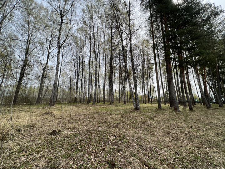 Участок 30 сот. (ИЖС)