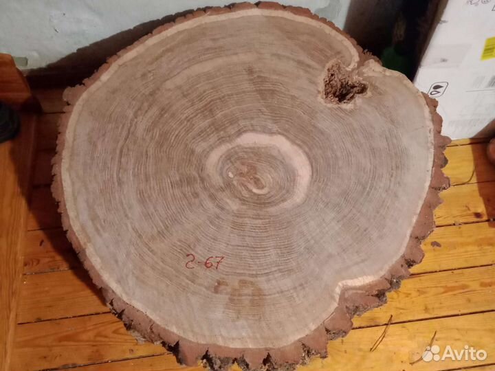 Слэб дерева и спилы калиброванные D до 700 мм