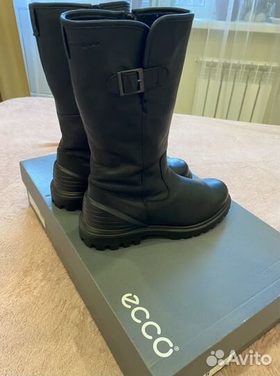 Зимние сапоги ecco