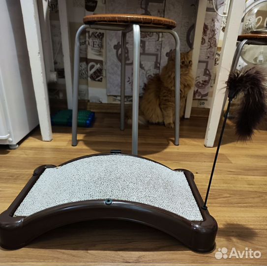 Когтеточка для кошки новая