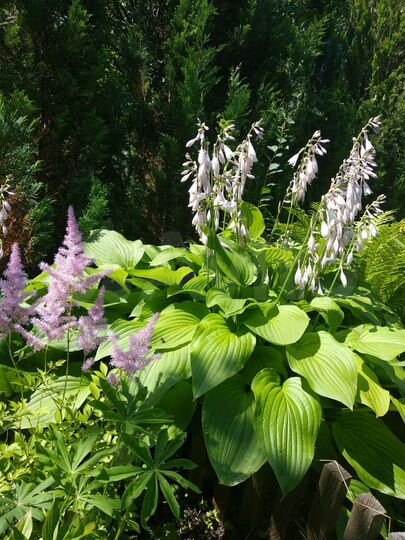 Дача 20 м² на участке 8 сот.