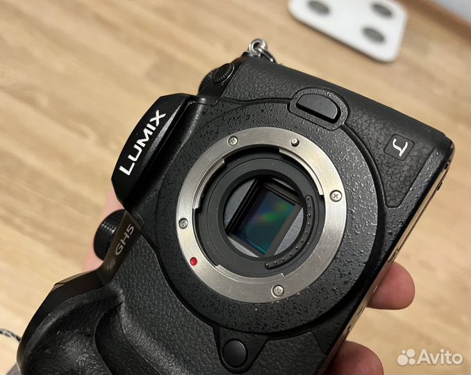 Panasonic gh5 vlog + sigma 18-35 art + клетка