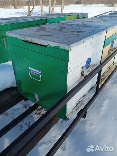 Ульи для пчел бу дадан