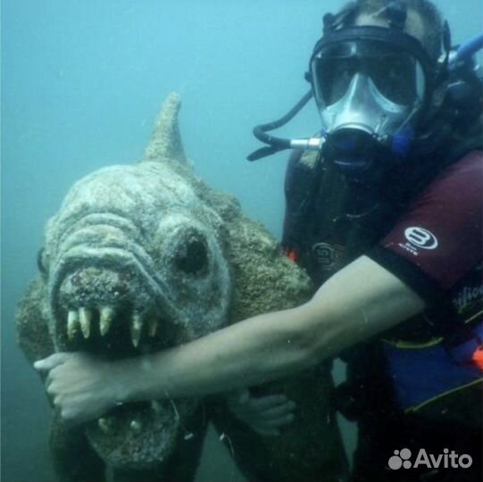 Дайвинг с катера и с берега в Адлере