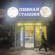 Продам готовый бизнес пиво на розлив