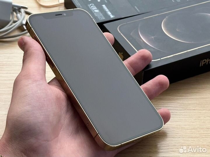 iPhone 12 Pro, 256 ГБ