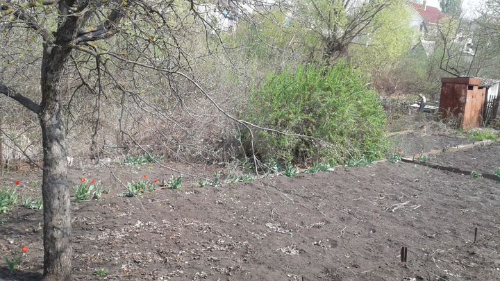 Дача 20 м² на участке 4,8 сот.