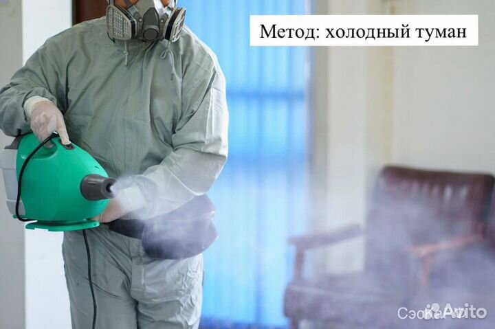 Обработка от тараканов, клопов, грызунов, плесени