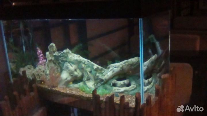 Обслуживание и чистка аквариумов