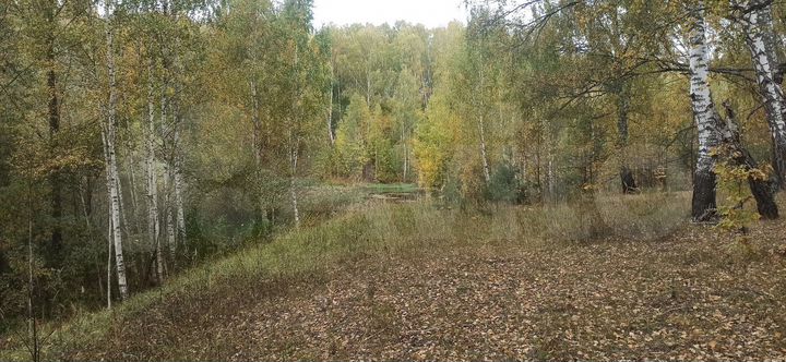 Участок 5,3 га (ИЖС)