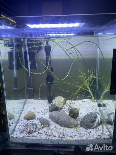 Аквариум