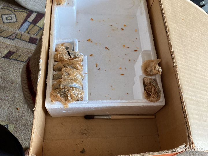 Кинокамера кварц