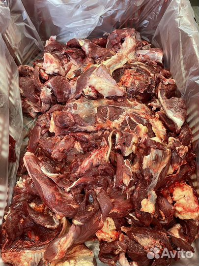 Собачий корм