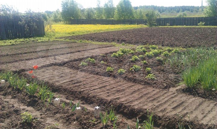 Дом 43 м² на участке 20 сот.