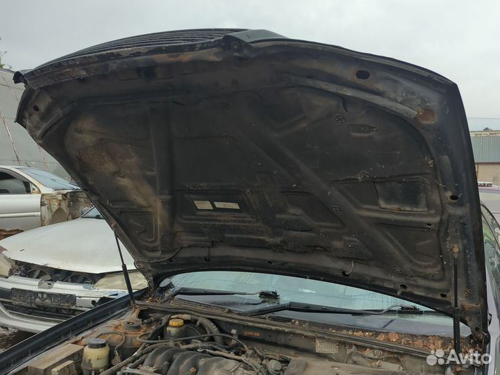 Капот Nissan Cefiro A33