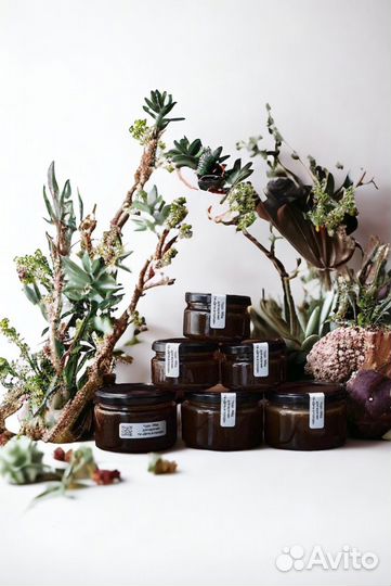 Чудо мёд с травами