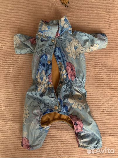 Одежда для маленьких собак