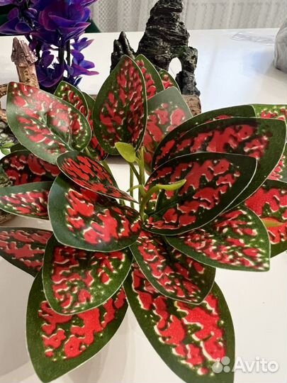 Продам декорации для аквариума