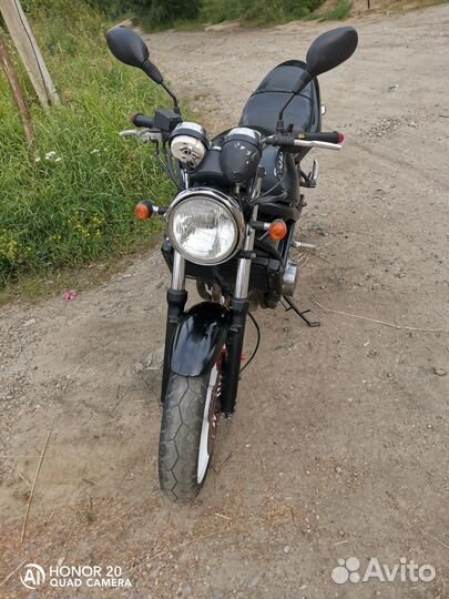 Suzuki Bandit