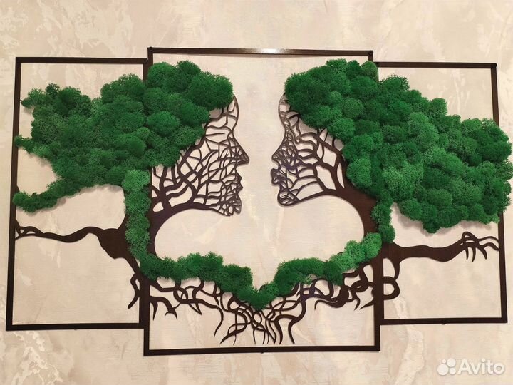 Цветы, Растения, суккуленты, Флорариум, мох