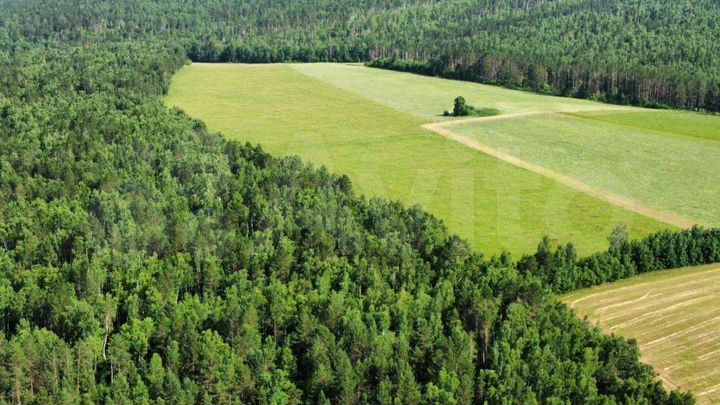 Участок 50 га (СНТ, ДНП)