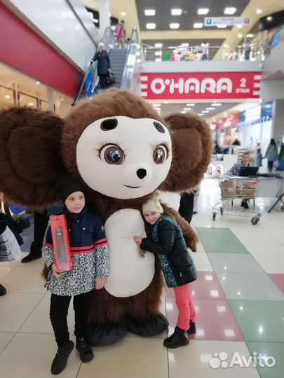 Белый Мишка Медведь поздравление