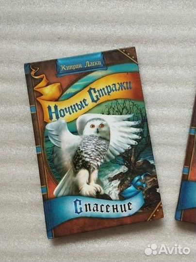 Ночные стражи. Спасение