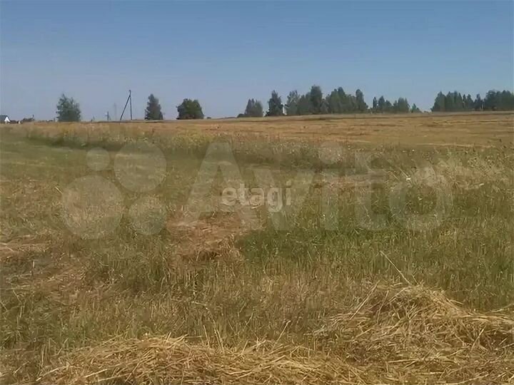 Участок 12,3 сот. (ИЖС)