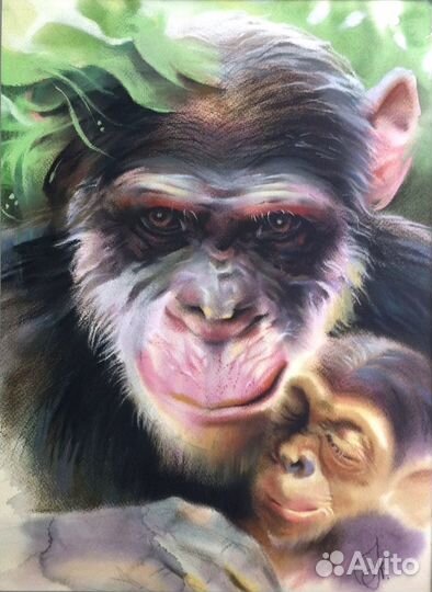 Обучение рисунку, черчению, архитектуре, живописи