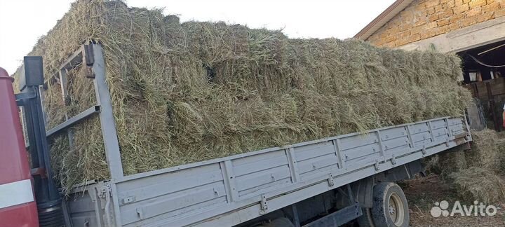 Сено луговое в тюках